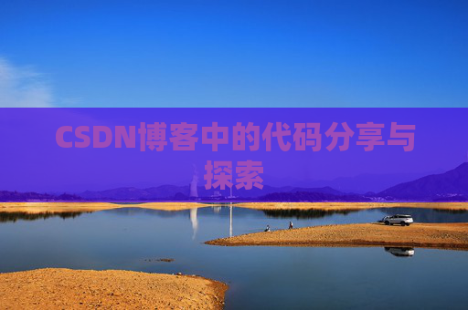 CSDN博客中的代码分享与探索
